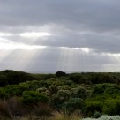 after the storm